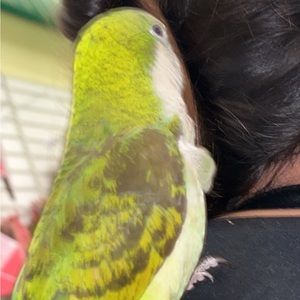 Meet your Posher, Eva